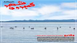 خبرنامه چند رسانه ای گمبرون شهر سال سوم/شماره 110/هفته چهارم آبان ماه ۱۴۰۲